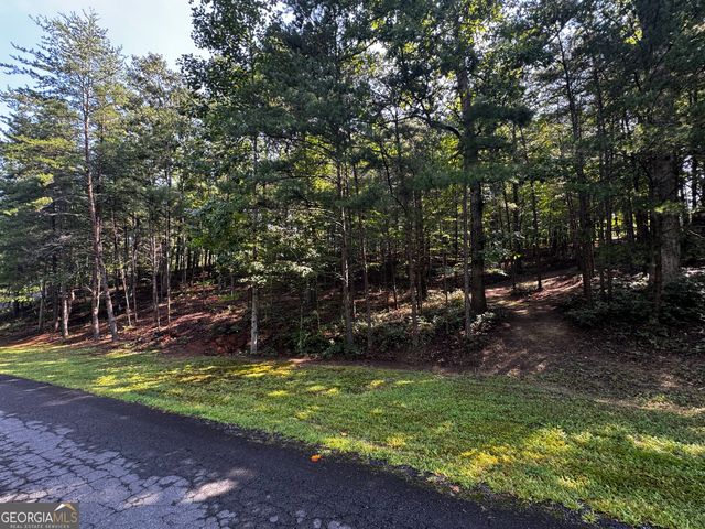 0 Rainbow Circle, Cleveland, GA 30528