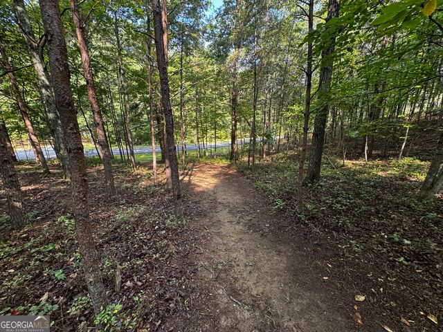 0 Rainbow Circle, Cleveland, GA 30528