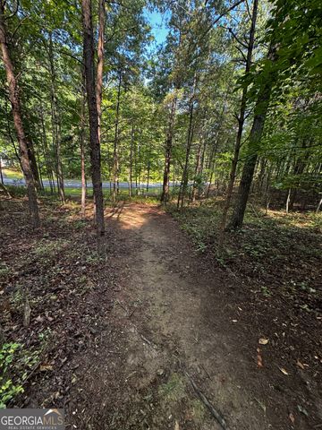 0 Rainbow Circle, Cleveland, GA 30528