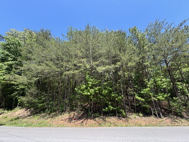 670 Lake View Drive, New Hope, TN 37380