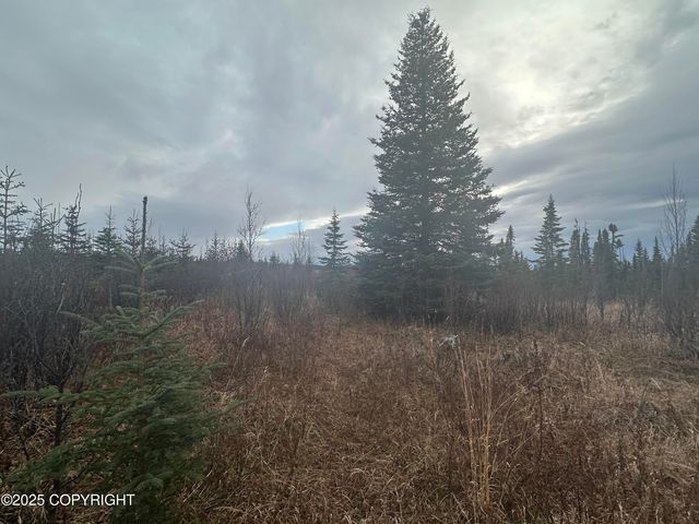 003 Wells Street, Ninilchik, AK 99639