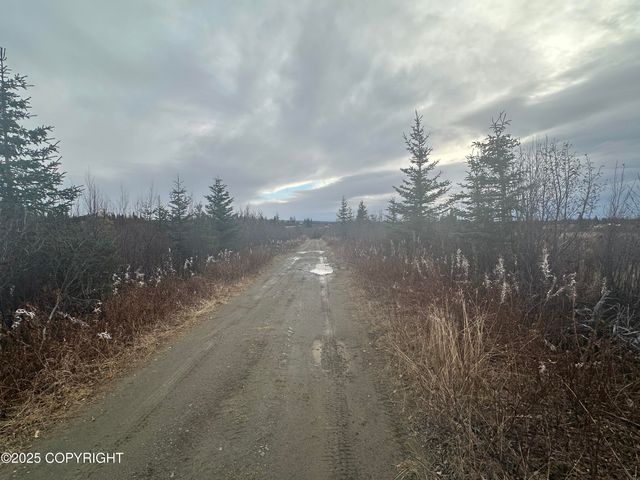 003 Wells Street, Ninilchik, AK 99639
