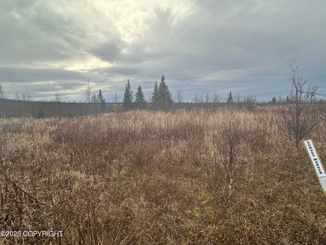 003 Wells Street, Ninilchik, AK 99639