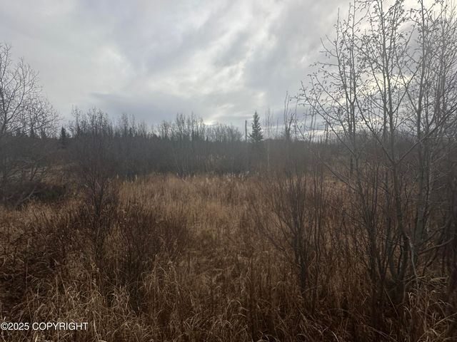 003 Wells Street, Ninilchik, AK 99639