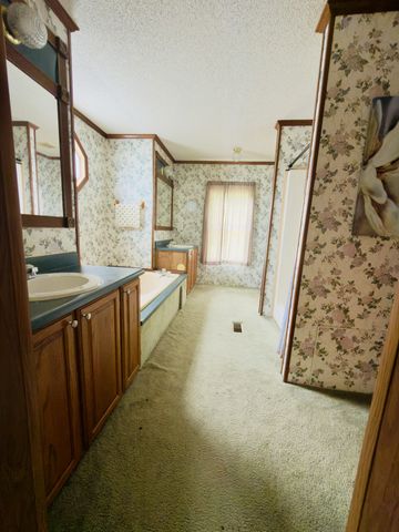 376 Red Top Rd, Indian Mound, TN 37079