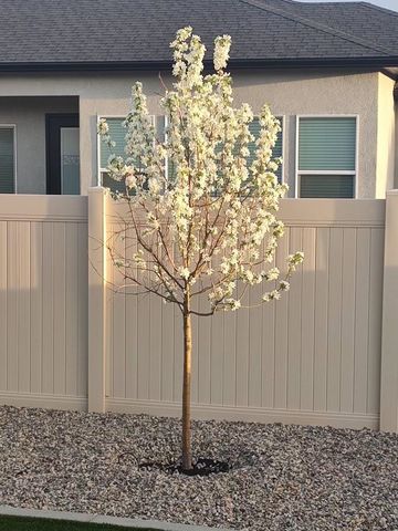 3111 Clyde Court, Grand Junction, CO 81504
