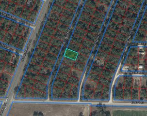 0000 NE 154TH AVENUE, Williston, FL 32696