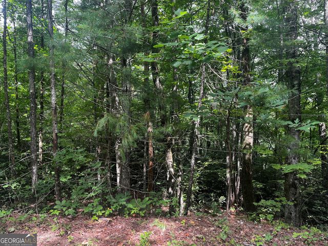 0 Pitts Way, Rabun Gap, GA 30568