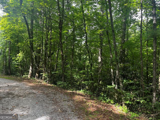 0 Pitts Way, Rabun Gap, GA 30568