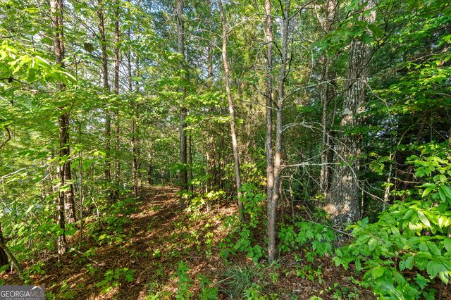 0 Grey Fox Trail B11, Clayton, GA 30525