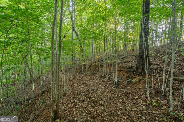 0 Grey Fox Trail B11, Clayton, GA 30525
