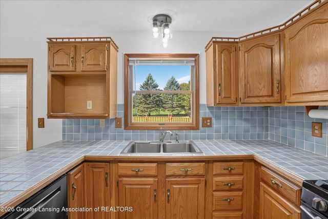 12382 Burlingame Drive, Dewitt, MI 48820