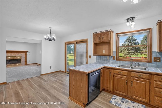 12382 Burlingame Drive, Dewitt, MI 48820