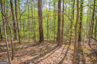 0 Lake Esther Drive 1, Fairburn, GA 30213