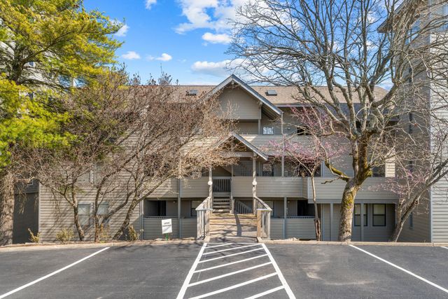 1 Treehouse Lane 4, Branson, MO 65616