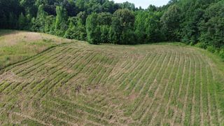 0 Summer Breeze Dr, Smithville, TN 37166