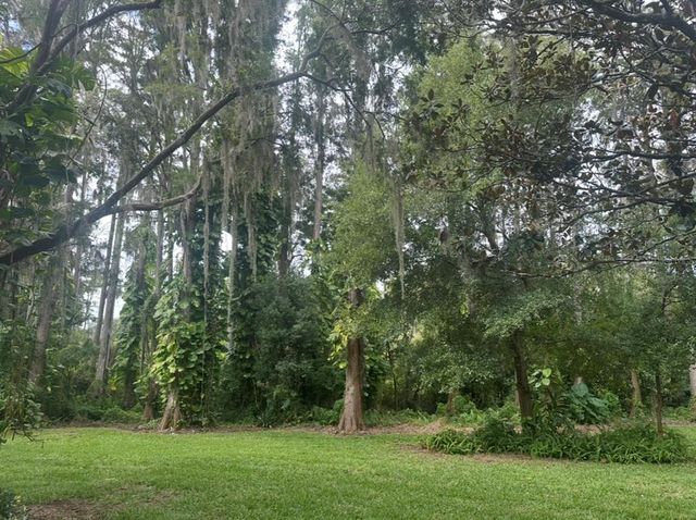 18306 PLEASANT RIDGE PLACE, Lutz, FL 33548