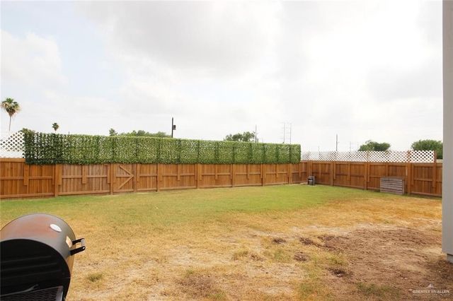 709 Santa Cecilia Street, Donna, TX 78537