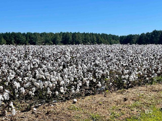 11369 Genuine Risk Circle, Daphne, AL 36526