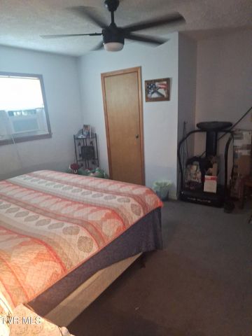 220 Fannin Road, Greeneville, TN 37743