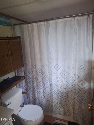 220 Fannin Road, Greeneville, TN 37743