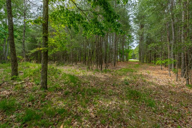 0 Crockett Point Jf160, Jasper, TN 37347
