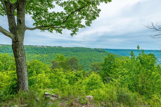 0 Crockett Point Jf160, Jasper, TN 37347