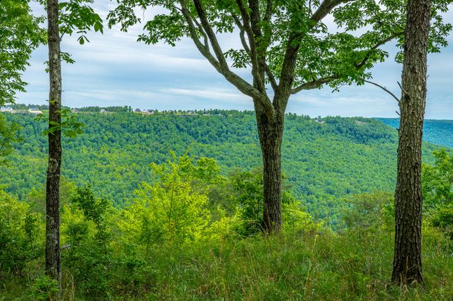 0 Crockett Point Jf160, Jasper, TN 37347