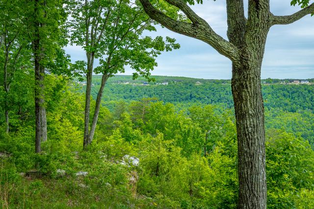 0 Crockett Point Jf160, Jasper, TN 37347