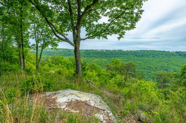 0 Crockett Point Jf160, Jasper, TN 37347