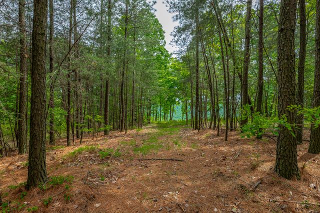 0 Crockett Point Jf160, Jasper, TN 37347