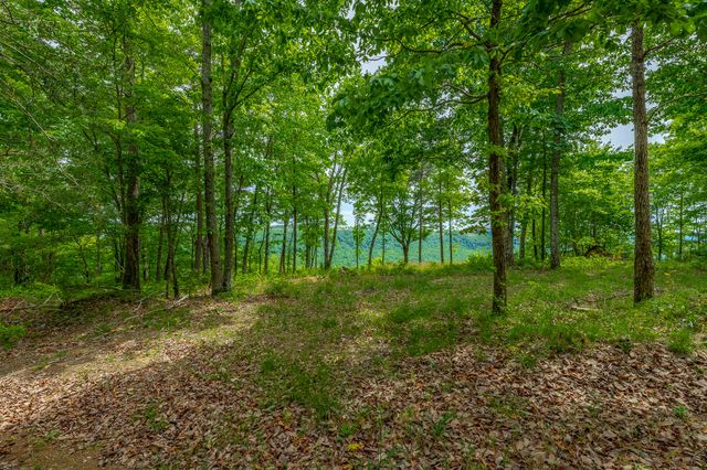 0 Crockett Point Jf160, Jasper, TN 37347