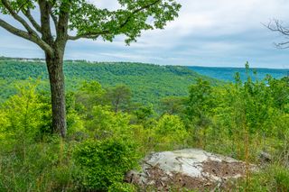 0 Crockett Point Jf160, Jasper, TN 37347