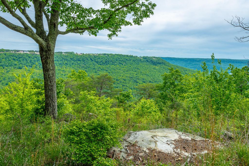 0 Crockett Point Jf160, Jasper, TN 37347