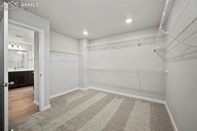 7810 Tuscan Sun Court, Colorado Springs, CO 80908