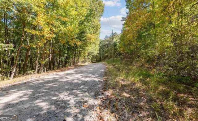 LOT 24 Luther Palmer Road, Cleveland, GA 30528