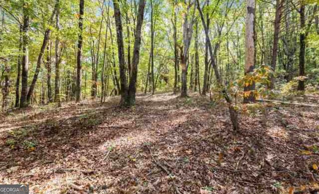 LOT 24 Luther Palmer Road, Cleveland, GA 30528