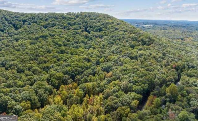 LOT 24 Luther Palmer Road, Cleveland, GA 30528