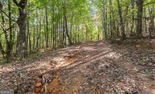 LOT 24 Luther Palmer Road, Cleveland, GA 30528