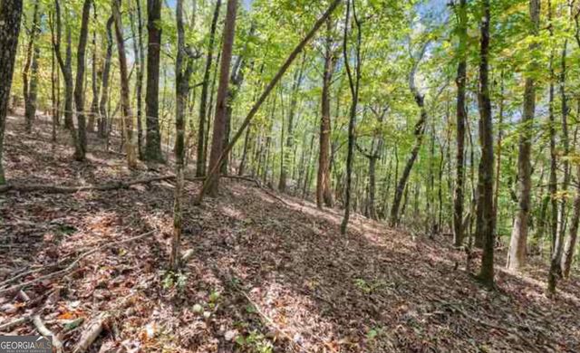 LOT 24 Luther Palmer Road, Cleveland, GA 30528