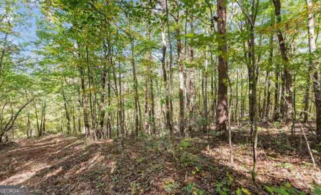LOT 24 Luther Palmer Road, Cleveland, GA 30528