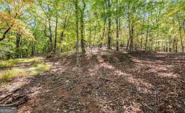 LOT 24 Luther Palmer Road, Cleveland, GA 30528