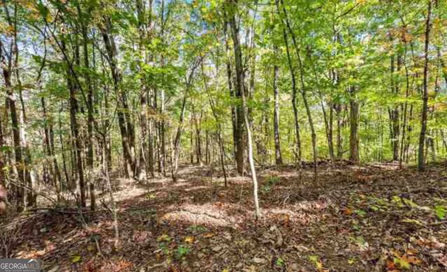 LOT 24 Luther Palmer Road, Cleveland, GA 30528