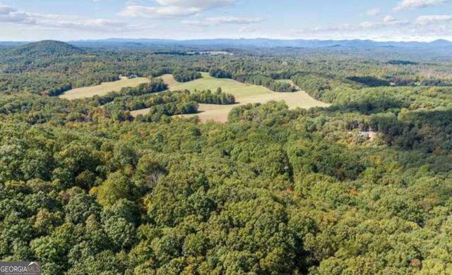 LOT 24 Luther Palmer Road, Cleveland, GA 30528