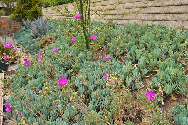 1502 Briarglen Avenue, Westlake Village, CA 91361