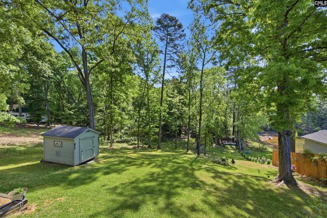 1047 Hilton Point Road, Chapin, SC 29036