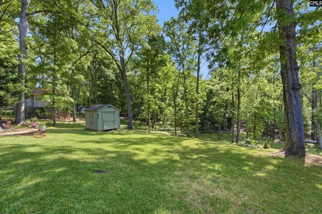 1047 Hilton Point Road, Chapin, SC 29036