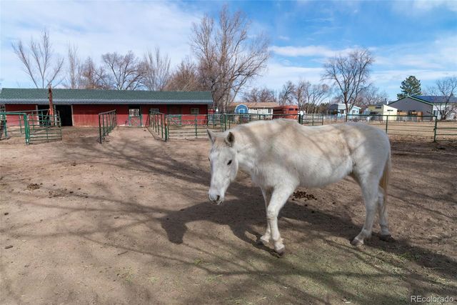 6263 Laodicea Road, Longmont, CO 80503