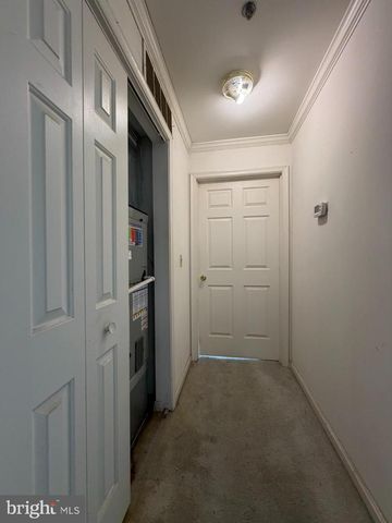 1603 MARION QUIMBY DR, Stevensville, MD 21666