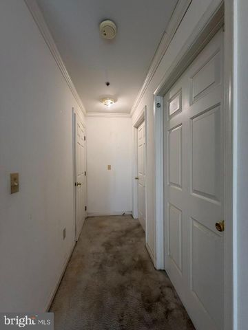 1603 MARION QUIMBY DR, Stevensville, MD 21666